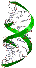 Spartan Helix