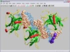 HyperChem 8.0.10